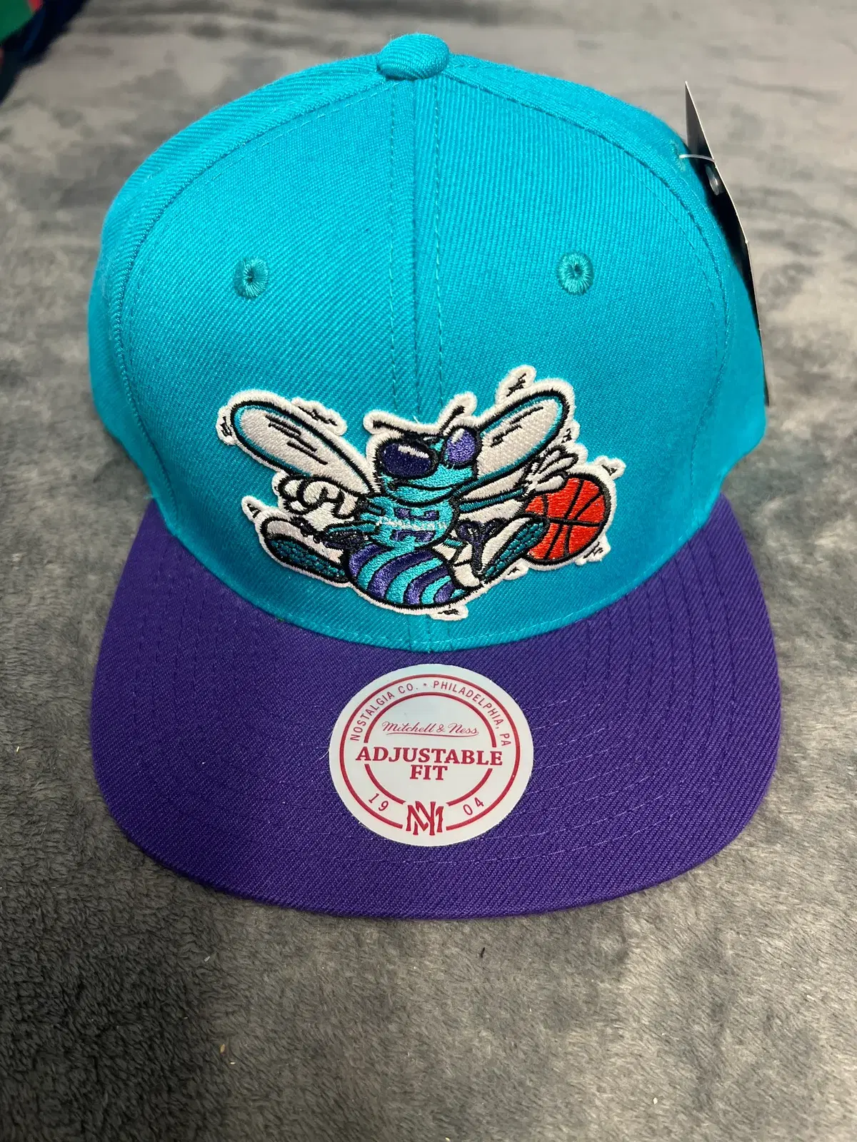 Charlotte Hornets Mitchell & Ness Adjustable Snapback – Teal & Purple